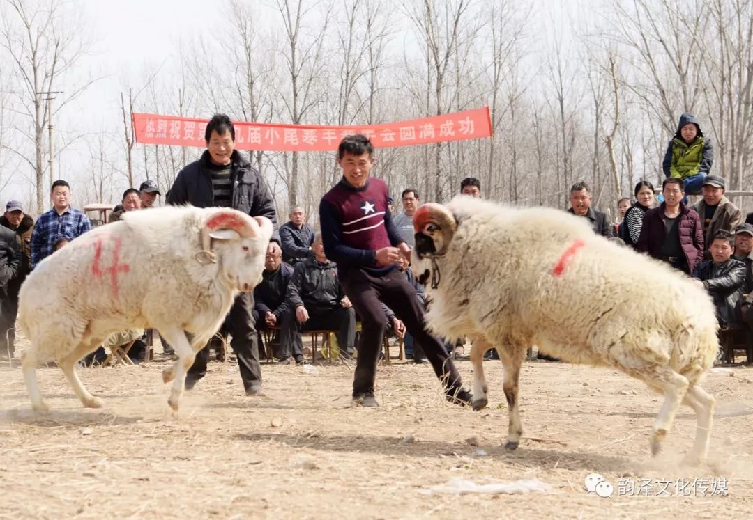 开云APP-梅斯交战穆尔西争高下，一触即发支持呐喊